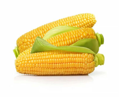 Sweet Corn