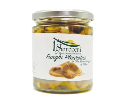 Funghi Pleurotus in Olio Extravergine di Oliva
