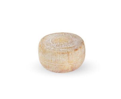 Caciotta di pecora intera, 2kg, Az. Agricola Salvucci